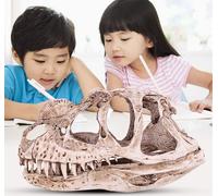 Modèle de crâne de dinosaure en résine Squelette d'animal simulé Home Office Decor Artisanat Enseignement Prop