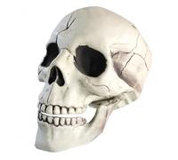 Modèle De Crâne De Squelette Dhalloween,Statue De Squelette Modèle De Squelette De Crâne Humain,Halloween Décoration Tête De Crâne En Plastique Squelette Modèle Pour Décoration De Fête Effrayante