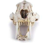 Modèle de crâne de tigre à dents de sabre grandeur nature 1:1, spécimen de crâne de Smilodon, réplique en résine d'anatomie de la tête de crâne d'animal, for l'enseignement des études