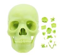 Modèle de crâne humain - crâne anatomique, aide pédagogique médicale, conception démontée en 15 parties | Réplique d'anatomie colorée réaliste pour la formation des médecins et l'enseignement en class