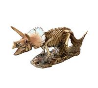 Modèle de crâne, Squelette de tricératops - Os fossiles - Réplique de crâne de Squelette de tricératops en résine pour Outils, décoration intérieure