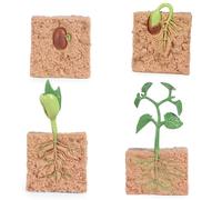 Modèle De Croissance des Plantes De Haricots Verts, Ensemble Figurines Réalistes du Cycle Vie des Plantes pour Enfants, Jouets Éducatifs Jouets Scientifiques Cadeaux d'anniversaire (1 Kit)
