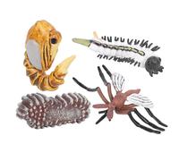 Modele de cycle de croissance des moustiques pour enfants, miniature, simulation animale, education precoce, statue, jouet