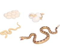 Modèle de cycle de croissance,Modèle de cycle de vie,Modèle de cycle de croissance du serpent,Modèle de cycle de vie Toy,Modèle de cycle de vie du serpent,Modèle de croissance du serpent