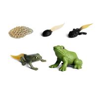 Modèle De Cycle De Vie De Grenouille - Ensemble De 5 Pièces | Jouet Éducatif En PVC - Étapes De Croissance Des Animaux, Figurines, Œufs, Têtards, Grenouille Adulte, Kit D'apprentissage Pour , S