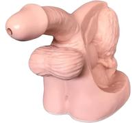 Modèle De Démonstration De Cathétérisme, Cathétérisme Urétral, Modèle D’enseignement du Mannequin, Modèle D’organe Reproducteur Interne Et Externe Masculin Enseignement De La Structure du S