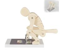 Modèle de démonstration de force de la colonne vertébrale humaine avec base, entraîneur lombaire interactif pour la biomécanique anatomie éducation et correction de posture