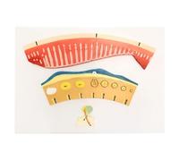 Modèle de démonstration du cycle menstruel féminin, Comprendre l'essence du cycle menstruel, Explorer le processus d'ovulation féminine, for l'enseignement de la physiologie de la santé