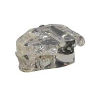 Modèle De Dents Chats Clairs Animaux Anatomiques Pour Compagnie Mâchoire Dent Outil Éducatif Bureau Vétérinaire L'étude Des Mâchoire Dent Orale L'étude