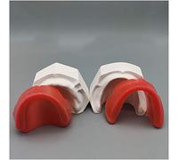 Modèle de Dents, modèle Anatomique - Modèle de Remblai en Cire pour Disposition des Dents de la Bouche entière - Modèle d'étude - Cire Molle pour Base de Disposition des Dents artificielles