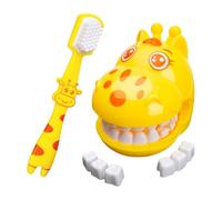 Modèle de dents standard - Accessoire de brosse à dents à poils doux, mannequin biologique d'apprentissage précoce, simulateur interactif de routine quotidienne, structure de prothèse 3D |