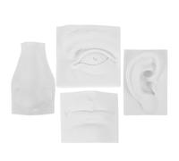 Modèle de Dessin en Gypse pour Traits Faciaux, Exercice Créatif