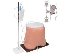 Modèle de dialyse péritonéale dynamique humaine, modèle de dialyse péritonéale pour la formation médicale avec support et tube, simulateur de mannequin abdominal pour la démonstration