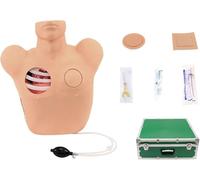 Modèle De Drainage Par Thoracentèse for La Formation Et L'éducation | Modèle thoracique réaliste for un entraînement et une pratique efficaces.