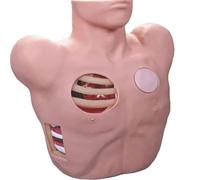 Modèle de drainage thoracentèse, PVC anatomique, enseignement médical for l'entraînement fermé du pneumothorax et l'épanchement pleural