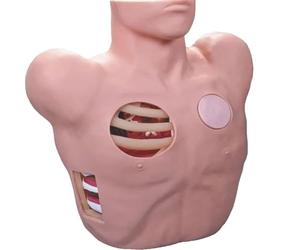Modèle de drainage thoracentèse, PVC anatomique, enseignement médical for l'entraînement fermé du pneumothorax et l'épanchement pleural