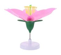 Modèle de Fleur de Pêcher Biologique pour Enseignement, Démonstration | Étamines et Pétales Détaillés, Toutes les Parties Clés Incluses, Étude Autonome, Formation des Enseignants