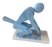 Modèle De Force Vertébrale For Le Levage De Poids Humain, Outil Pédagogique De Démonstration For La Protection De La Colonne Lombaire Et La Correction De La Posture, À Usage Éducatif(Blue)