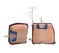 Modèle de formation à la ponction vertébrale, modèle de formation clinique à l'anesthésie rachidienne et péridurale, formation à usage médical