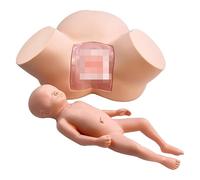 Modèle de formation à l'accouchement, mannequin éducatif pour fœtus pelvien féminin pour la pratique et l'enseignement des sages-femmes