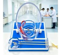 Modèle De Formation Aux Techniques De Nouage Chirurgical, Modèle De Simulation Professionnelle des Techniques De Nouage, Structure Stable, Enseignement Visuel, Simulation Réaliste, pour Les