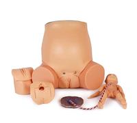 Modèle de formation avancée en obstétrique, outils de simulation d'accouchement féminin, avec paroi abdominale transparente, articulations flexibles et modèle de placenta, supports pédagogiques en obs