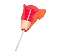 Modèle de formation avec couvercle transparent, simulateur de gynécologie féminine grandeur nature for la pratique des procédures contraceptives Modèle d'organe