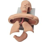 Modèle de formation d'intubation trachéale avec alarme de presse dentaire pour les premiers secours et l'éducation infirmière des adultes