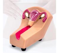 Modèle de formation sur le dispositif intra-utérin féminin, modèle d'utérus et d'ovaire transparent en PVC, guide de formation, insertion et retrait du dispositif intra-utérin