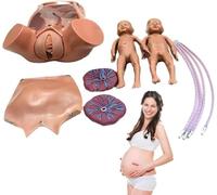 Modèle De Formation Sur Simulateur D'accouchement for La Des Sages-femmes | Modèle réaliste d'entraînement à l'accouchement avec deux fœtus et placenta for un apprentissage efficace.
