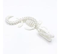 Modèle De Fossile De Mosasaure Imprimé En 3D, Réplique De Squelette De Dinosaure À Visée Pédagogique Pour L'apprentissage Des Sciences, La Décoration De Classe Et Comme Cadeau De Collection(White)