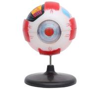 Modèle de Globe oculaire Modèle d'enseignement Anatomie Modèle Anatomique de l'œil Humain agrandi 3 Fois avec 7 Parties détachables Détails clairs for l'enseignement Démonstration et Explication