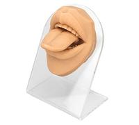 Modèle de langue humaine en Silicone souple, support acrylique réaliste, modèle de bouche pour exposition de bijoux (Couleur de la peau)