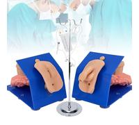 Modèle de Lavement de Cathétérisme Masculin et Féminin, Simulateur de Lavement de Cathétérisme, Mannequin de Cathétérisme Génital Portable pour La Formation Des Compétences,Outils Pédagogiques