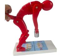 Modèle de levage correct du corps humain, haltérophilie de la colonne vertébrale humaine et du disque intervertébral lombaire, modèles d'enseignement de la protection de la colonne lombaire.