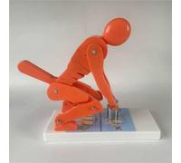 Modèle De Levage Correcteur For Le Corps Humain, Modèle De Protection De La Colonne Lombaire, Posture Correcte Et Protection De La Colonne Lombaire For Le Fitness Et L'entraînement(Orange)