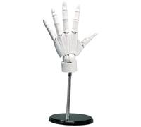 Modèle de main articulée 1:1 8 x 14 pouces avec joint et base mobiles, modèle en PVC convivial pour le dessin, la peinture, l'esquisse, mannequin blanc pour le dessin