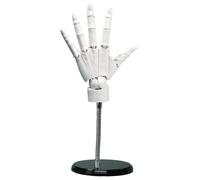 Modèle de main flexible, main articulée 1: 1, modèle gauche avec articulation mobile et base de bricolage PVC pour le dessin, la peinture, l'esquisse (blanc)