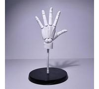 Modèle de main pour dessin, échelle 1:1, main articulée taille réelle avec articulations bioniques, main gauche posable, support et base, pour croquis, peinture, illustration anime, blanc