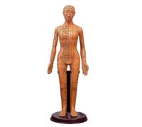 Modèle de méridiens homme/femme de médecine chinoise 40 cm/52 cm, modèle d'acupuncture du corps humain, appareils d'enseignement médical(Gold Woman 52CM)