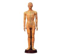 Modèle de méridiens homme/femme de médecine chinoise 40 cm/52 cm, modèle d'acupuncture du corps humain, appareils d'enseignement médical(Gold Man 40CM)