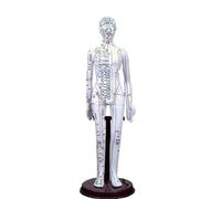 Modèle de méridiens homme/femme de médecine chinoise 40 cm/52 cm, modèle d'acupuncture du corps humain, appareils d'enseignement médical(White Woman 40CM)