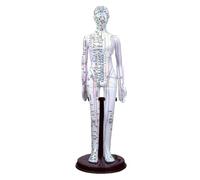 Modèle de méridiens homme/femme, médecine chinoise, 52 cm/40 cm, modèle d'acupuncture du corps humain, appareils d'enseignement médical(White Woman 40CM)