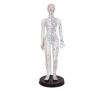 Modèle de méridiens homme/femme, médecine chinoise, 52 cm/40 cm, modèle d'acupuncture du corps humain, appareils d'enseignement médical(White Woman 52CM)