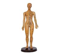 Modèle de méridiens homme/femme, médecine chinoise, 52 cm/40 cm, modèle d'acupuncture du corps humain, appareils d'enseignement médical(Gold Woman 52CM)