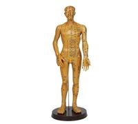 Modèle de méridiens homme/femme, médecine chinoise, 52 cm/40 cm, modèle d'acupuncture du corps humain, appareils d'enseignement médical(Gold Man 52CM)