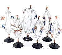 Modèle de mitose et de méiose de cellules animales et végétales, modèle de cellule et de mitose d'anatomie des sciences médicales en 9 parties, ensemble de modèles de cellules biologiques