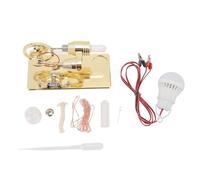Modèle de moteur sterling LED Bulbe volant du moule Stirling moteur moteur générateur de puissance de jouets éducatif pour le projet et l'apprentissage scientifique (Doré)