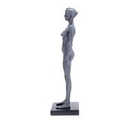 Modèle de Muscle Humain en Résine, Maquette Éducative Anatomique | Prop Pédagogique, Objet de Collection Décoratif, pour École et Étude, Précision Médicale, Style Réaliste