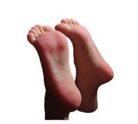 Modèle de pied Bas masculin Mannequin Cloné Fake Jambe d'ongles Tarsel Caoutchouc osseux for Art Silicone Femelle Chaussure Chaussette Bijoux(Skin Toes No Bone,One pair of feet)